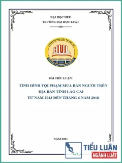 [Tiểu luận 2021] Tình hình tội phạm mua bán người trên địa bàn Tỉnh Lào Cai từ năm 2013 đến tháng 6 năm 2018