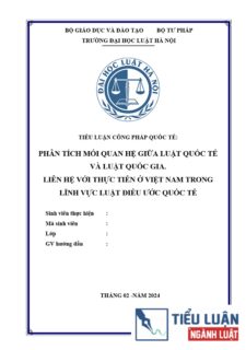 [Tiểu luận 2024] Phân tích mối quan hệ giữa luật quốc tế và luật quốc gia. Liên hệ với thực tiễn ở Việt Nam trong lĩnh vực Luật Điều ước quốc tế