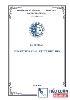 [Tiểu luận 2024] Tuổi kết hôn - Pháp luật và thực tiễn