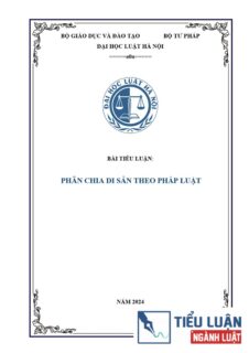 [Tiểu luận 2024] Phân chia di sản theo pháp luật