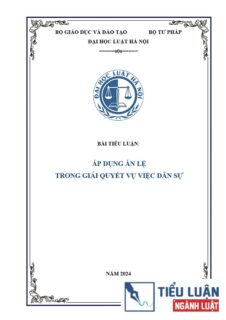 [Tiểu luận 2024] Áp dụng Án lệ trong giải quyết vụ việc dân sự