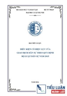 [Tiểu luận 2024] Điều kiện có hiệu lực của giao dịch dân sự theo Bộ luật Dân sự năm 2015