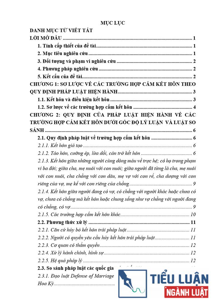 B0114 cac truong hop cam ket hon theo quy dinh cua phap luat hien hanh 2