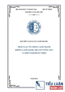 [Tiểu luận 2024] Pháp luật về chống cạnh tranh không lành mạnh – Một số vướng mắc và kiến nghị hoàn thiện