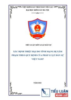 [Tiểu luận 2022] Xác định thiệt hại do tính mạng bị xâm phạm theo quy định của pháp luật dân sự Việt Nam