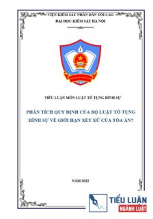 [Tiểu luận 2022] Phân tích quy định của Bộ luật tố tụng hình sự về giới hạn xét xử của Tòa án