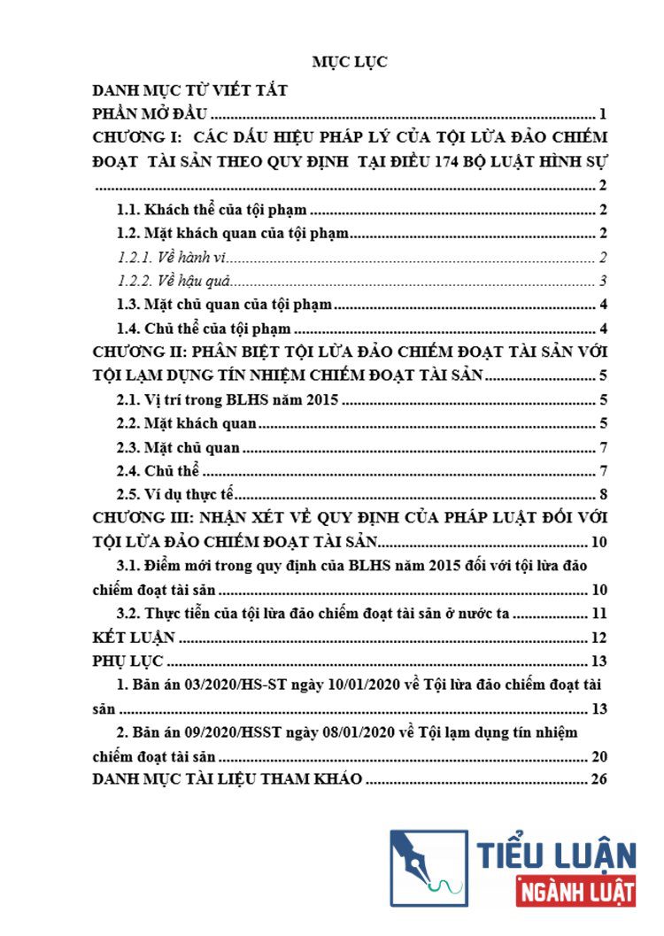 B0128 toi lua dao chiem doat tai san 2