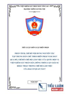 [Tiểu luận 2022] Phân tích, chỉ rõ nội dung nguyên tắc tập trung dân chủ theo Hiến Pháp năm 2013? Qua đó, chỉ rõ chế độ làm việc của Quốc hội và Viện kiểm sát nhân dân, đồng thời luận giải sự khác nhau trong chế độ làm việc của hai cơ quan này?