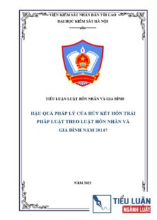 [Tiểu luận 2022] Hậu quả pháp lý của hủy kết hôn trái pháp luật theo Luật Hôn nhân và gia đình năm 2014