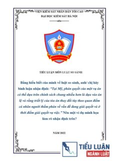 [Tiểu luận 2022] Tại Mỹ, phán quyết của một vụ án có thể dựa trên chính sách chung nhiều hơn là dựa vào án lệ và rằng triết lý của tòa án thay đổi tùy theo quan điểm cá nhân người thẩm phán về vấn đề đang giải quyết và ở thời điểm giải quyết vụ việc