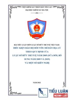 [Tiểu luận 2022] Điều kiện bảo hộ đối với chỉ dẫn địa lý theo quy định của Luật sở hữu trí tuệ năm 2005 (sửa đổi, bổ sung năm 2009 và 2019) và một số kiến nghị