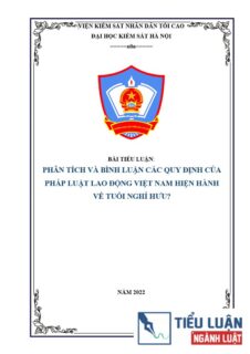 [Tiểu luận 2022] Phân tích và bình luận các quy định của pháp luật lao động Việt Nam hiện hành về tuổi nghỉ hưu