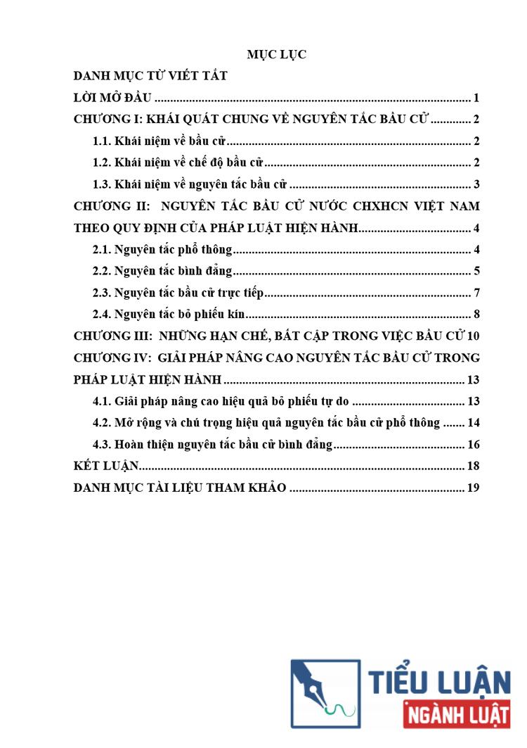 B0165 phan tich cac nguyen tac bau cu o viet nam 2