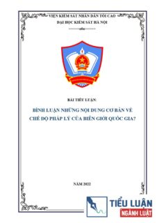 [Tiểu luận 2022] Bình luận những nội dung cơ bản về chế độ pháp lý của biên giới quốc gia