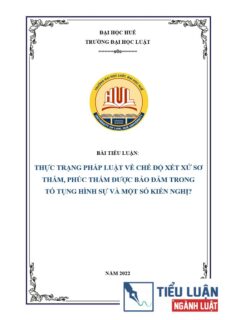 [Tiểu luận 2022] Thực trạng pháp luật về chế độ xét xử sơ thẩm, phúc thẩm được bảo đảm trong tố tụng hình sự và một số kiến nghị