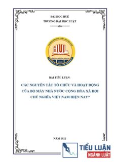 [Tiểu luận 2022] Các nguyên tắc tổ chức và hoạt động của bộ máy nhà nước Cộng hoà Xã hội Chủ nghĩa (CHXHCN) Việt Nam