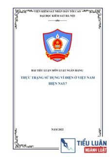 [Tiểu luận 2022] Thực trạng sử dụng ví điện ở Việt Nam hiện nay