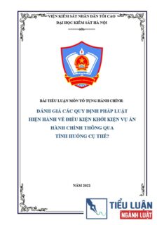 [Tiểu luận 2022] Hãy đánh giá các quy định pháp luật hiện hành về điều kiện khởi kiện vụ án hành chính thông qua tình huống cụ thể