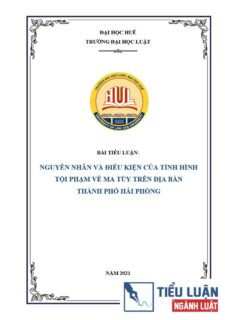 [Tiểu luận 2021] Nguyên nhân và điều kiện của tình hình tội phạm về ma túy trên địa bàn Thành phố Hải Phòng