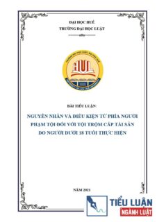 [Tiểu luận 2021] Nguyên nhân và điều kiện của tội trộm cắp tài sản do người dưới 18 tuổi thực hiện