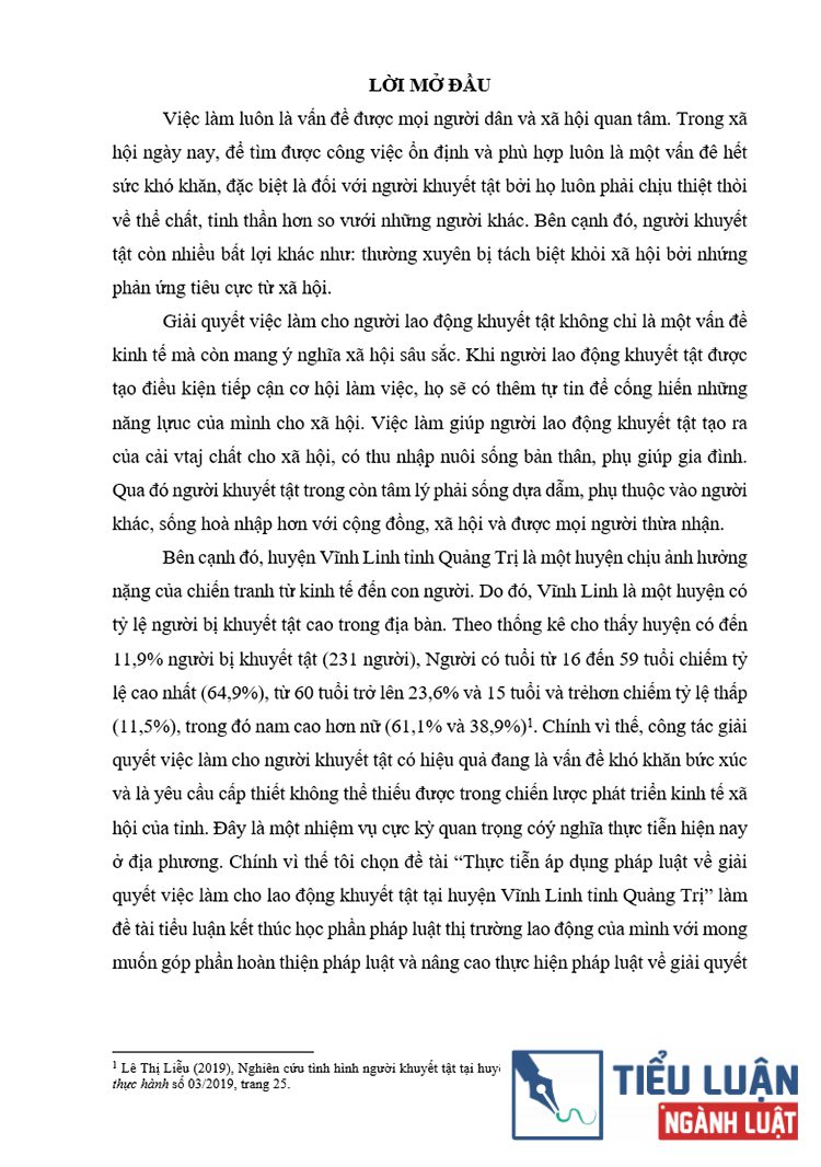 B0216 phap luat ve giai quyet viec lam cho nguoi lao dong khuyet tat 4