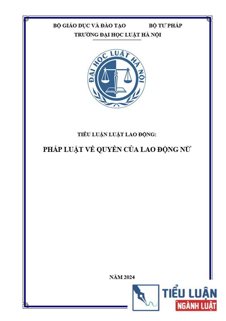 phap luat viet nam ve quyen cua lao dong nu 1