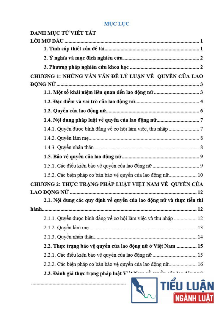 phap luat viet nam ve quyen cua lao dong nu 2