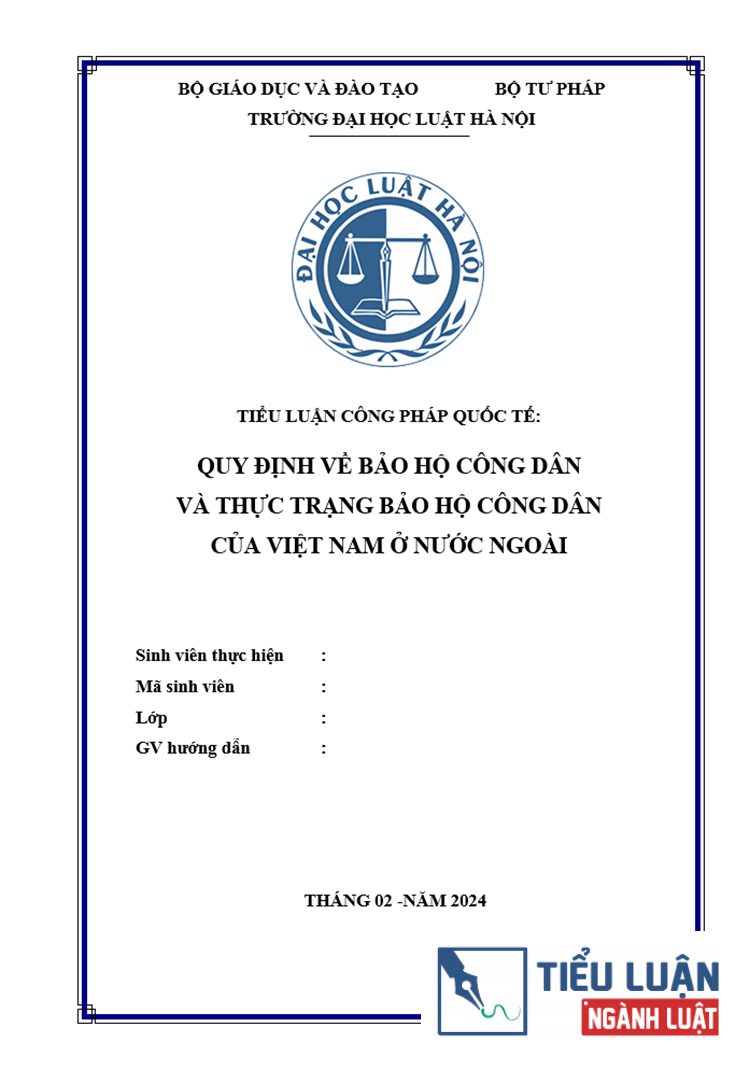 quy dinh ve bao ho cong dan va thuc trang bao ho cong dan cua viet nam o nuoc ngoai 1