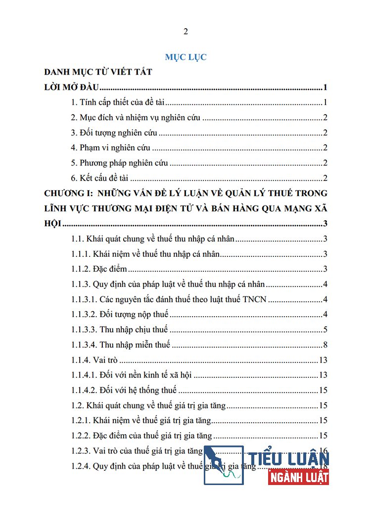 bat cap trong quan ly thue lien quan ve linh vuc thuong mai dien tu va ban hang qua mang xa hoi 2