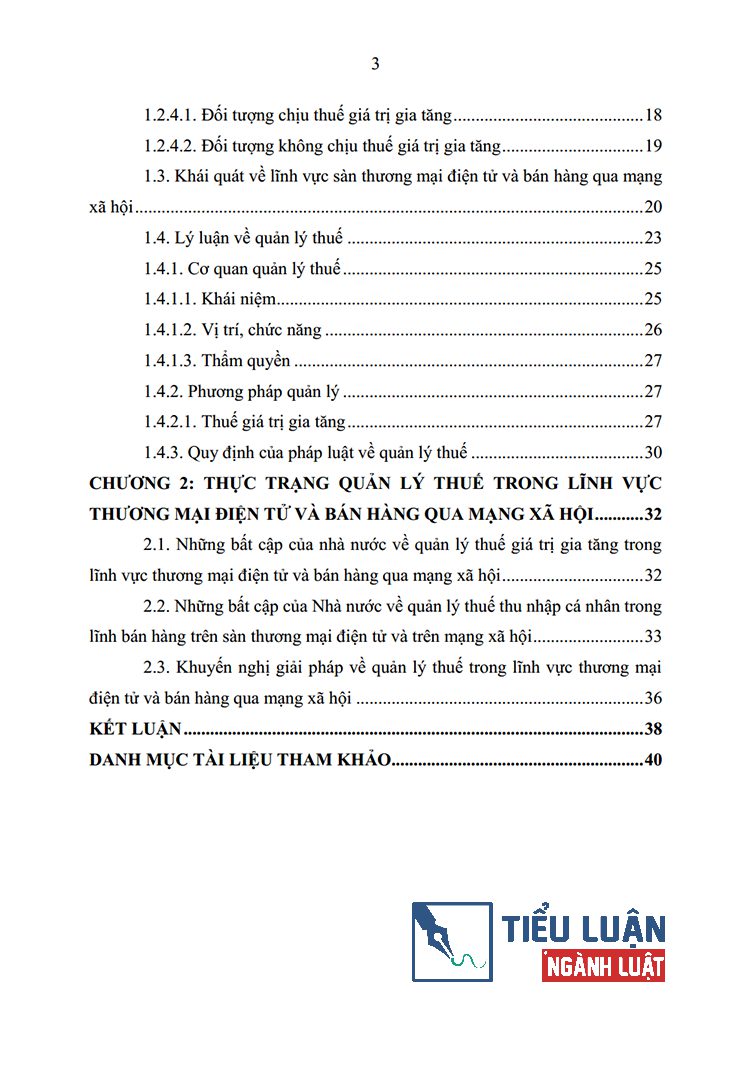 bat cap trong quan ly thue lien quan ve linh vuc thuong mai dien tu va ban hang qua mang xa hoi 3