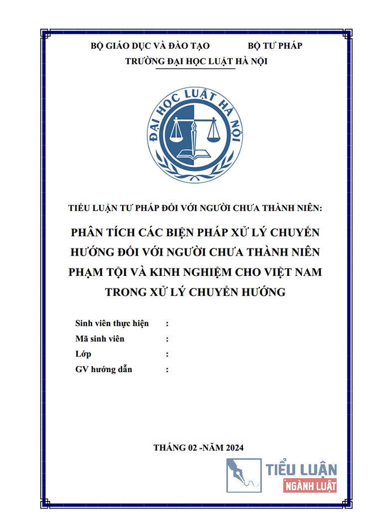 bien phap xu ly chuyen huong doi voi nguoi chua thanh nien pham toi va kinh nghiem cho viet nam 1