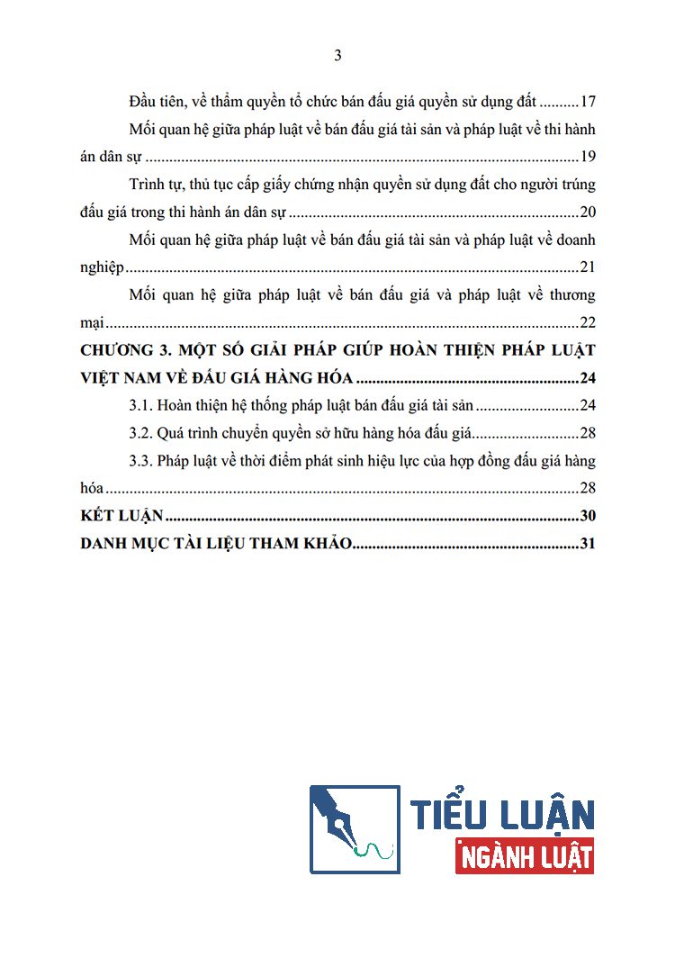 phap luat ve dau gia hang hoa o viet nam 3