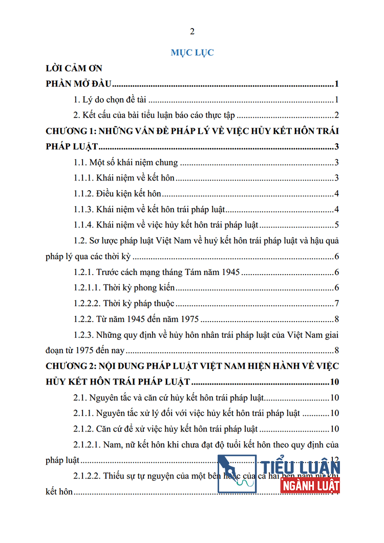 huy ket hon trai phap luat ly luan va thuc tien 2