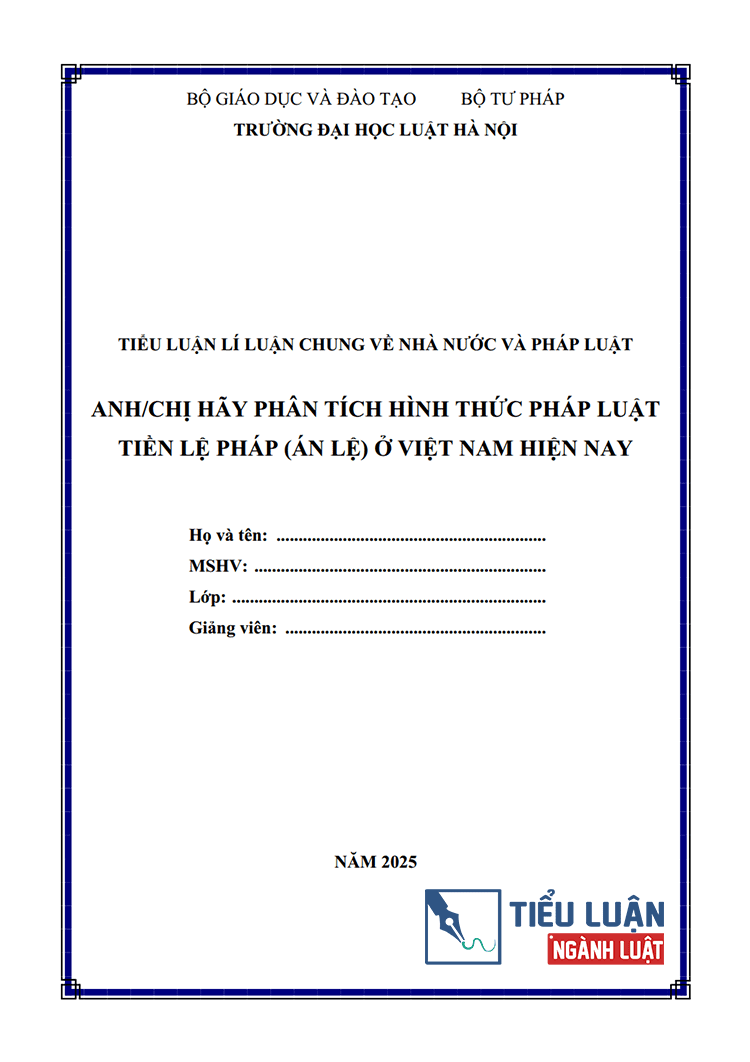 phan tich hinh thuc phap luat tien le phap an le o viet nam hien nay 1