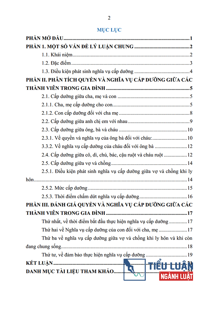 phan tich va danh gia quy dinh ve quyen va nghia vu cap duong giua cac thanh vien trong gia dinh 2