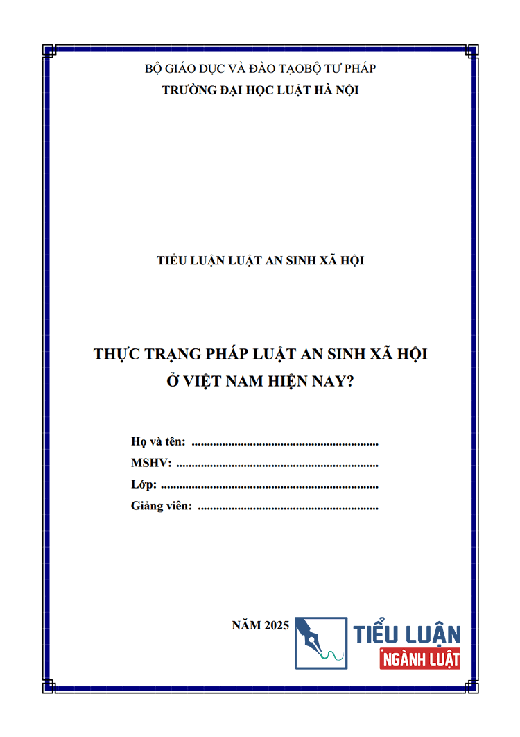 thuc trang phap luat an sinh xa hoi o viet nam hien nay 1