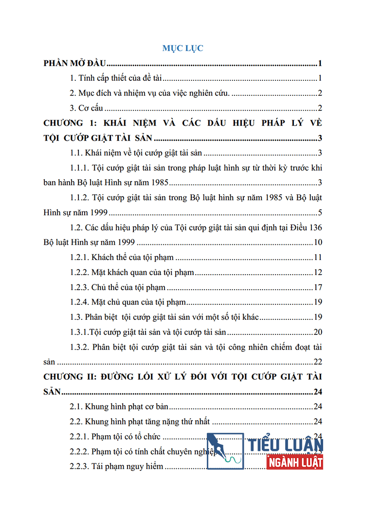 toi cuop giat tai san nhung van de ly luan va thuc tien 1