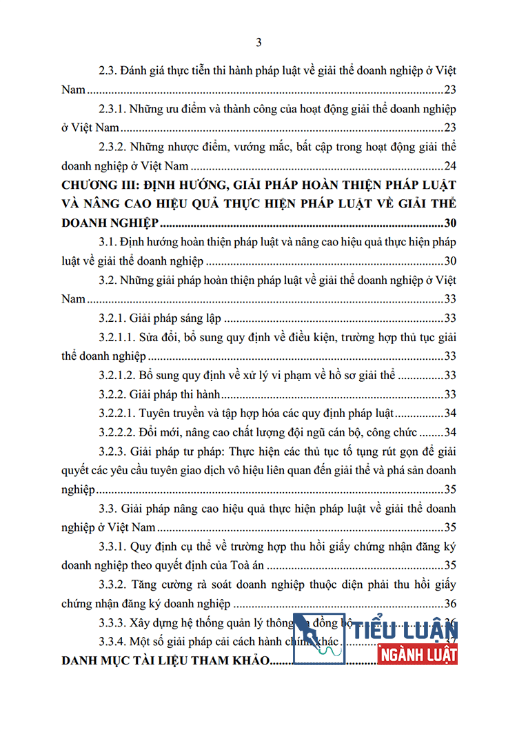 phap luat ve giai the doanh nghiep 3