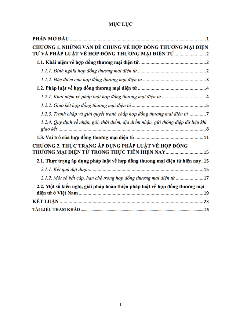 hop dong thuong mai dien tu nhung van de ly luan va thuc tien 2 2