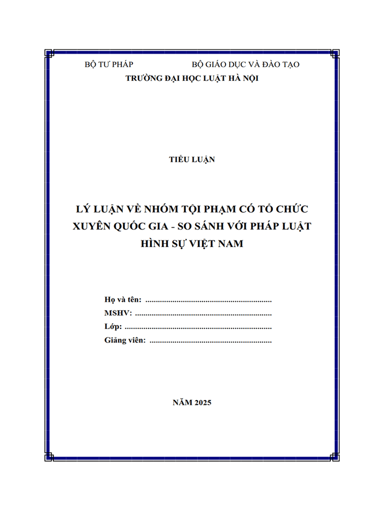 ly luan ve nhom toi pham co to chuc xuyen quoc gia va so sanh voi phap luat hinh su viet nam 1