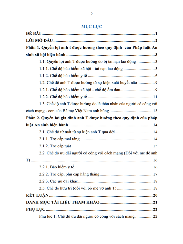 tieu luan luat an sinh xa hoi 2